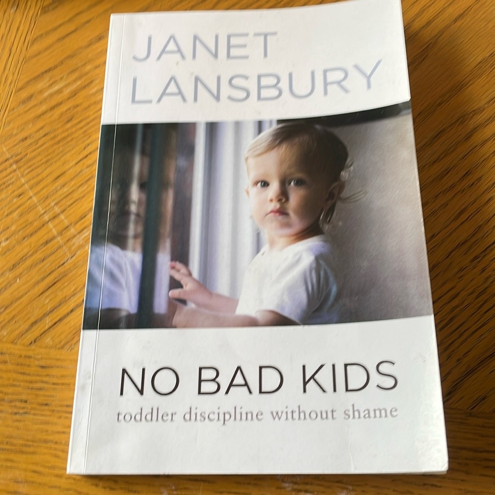 No Bad Kids Toddler Discipline Without Shame By Janet Lansbury